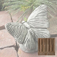 Campania Butterfly