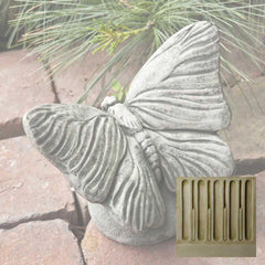 Campania Butterfly