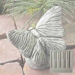 Campania Butterfly