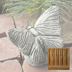 Campania Butterfly