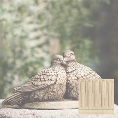 Campania Lovebirds