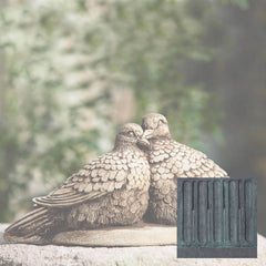Campania Lovebirds