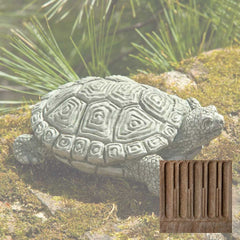 Campania My Pet Turtle