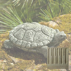 Campania My Pet Turtle