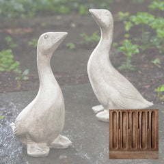 Campania Kate's Goose