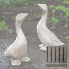Campania Kate's Goose