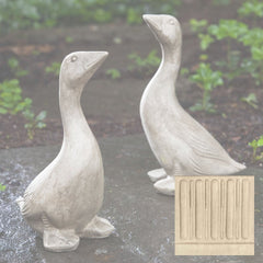 Campania Kate's Goose