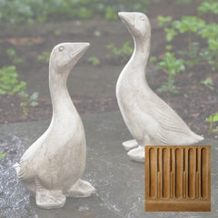 Campania Kate's Goose