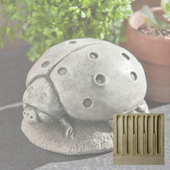 Campania Ladybug