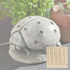 Campania Ladybug