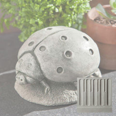Campania Ladybug
