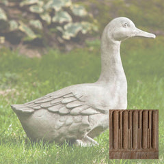 Campania Quackers