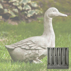 Campania Quackers