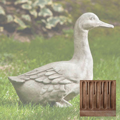 Campania Quackers