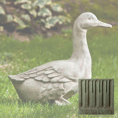 Campania Quackers