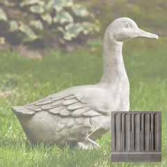 Campania Quackers