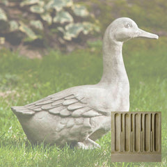 Campania Quackers