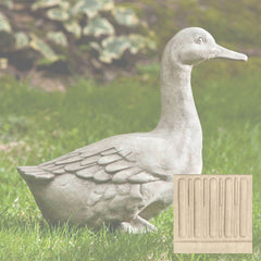 Campania Quackers