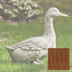 Campania Quackers