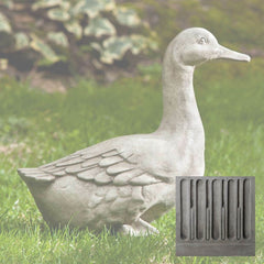 Campania Quackers