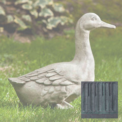 Campania Quackers