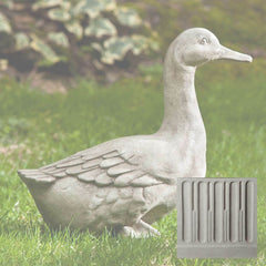Campania Quackers