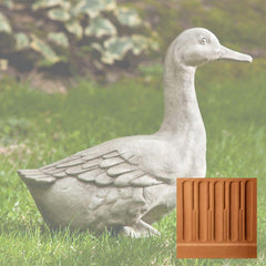 Campania Quackers