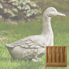 Campania Quackers