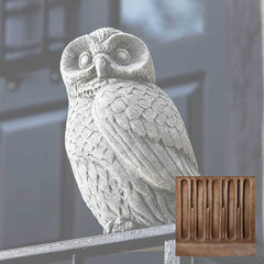 Campania Night Owl
