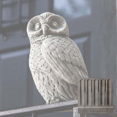 Campania Night Owl