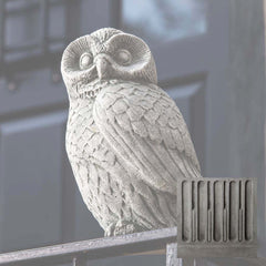 Campania Night Owl