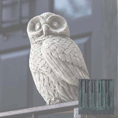 Campania Night Owl
