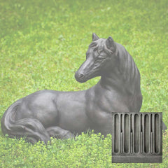 Campania Charlotte's Choice