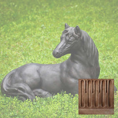 Campania Charlotte's Choice