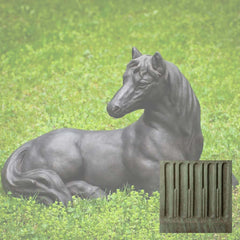 Campania Charlotte's Choice