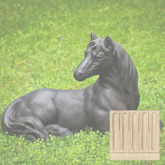 Campania Charlotte's Choice