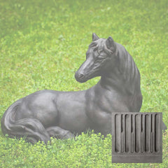 Campania Charlotte's Choice