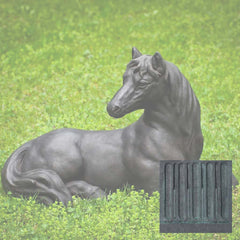 Campania Charlotte's Choice