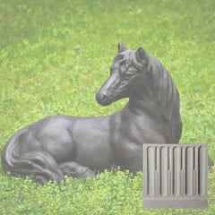 Campania Charlotte's Choice