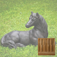 Campania Charlotte's Choice