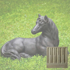 Campania Charlotte's Choice