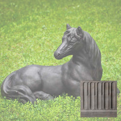 Campania Charlotte's Choice