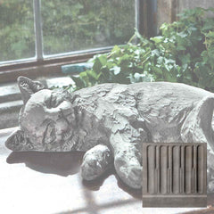 Campania Dreaming Kitty