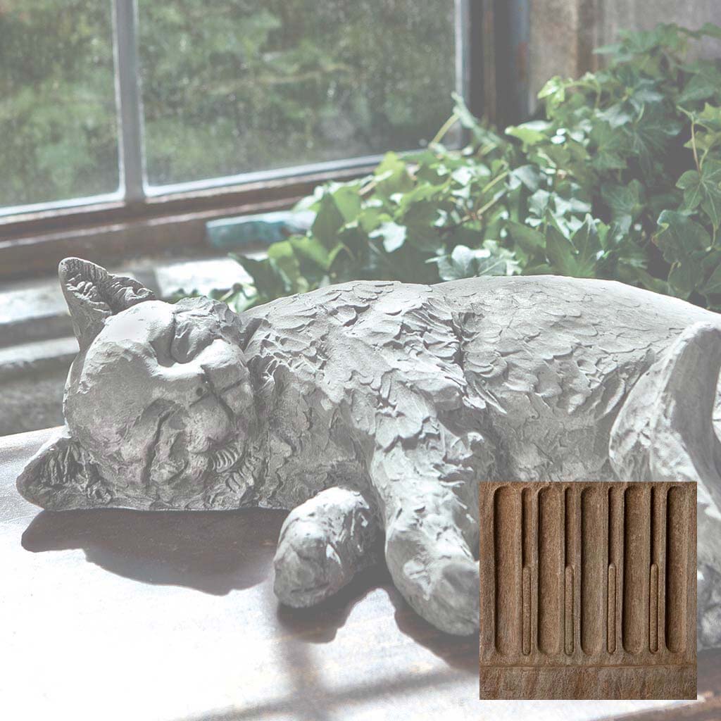 Campania Dreaming Kitty