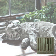 Campania Dreaming Kitty