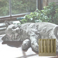 Campania Dreaming Kitty