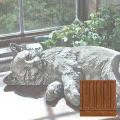 Campania Dreaming Kitty