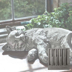 Campania Dreaming Kitty