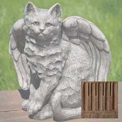 Campania Angel Kitty