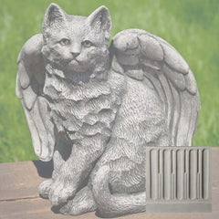 Campania Angel Kitty